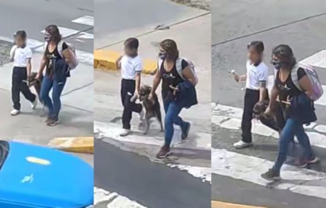 [VIDEO] Toman de las patas a su perrito para cruzar juntos la calle