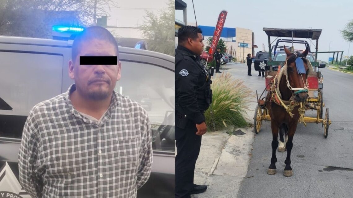 La reciente detención de un hombre en Monterrey por golpear a un caballo genera una fuerte reacción entre la comunidad.