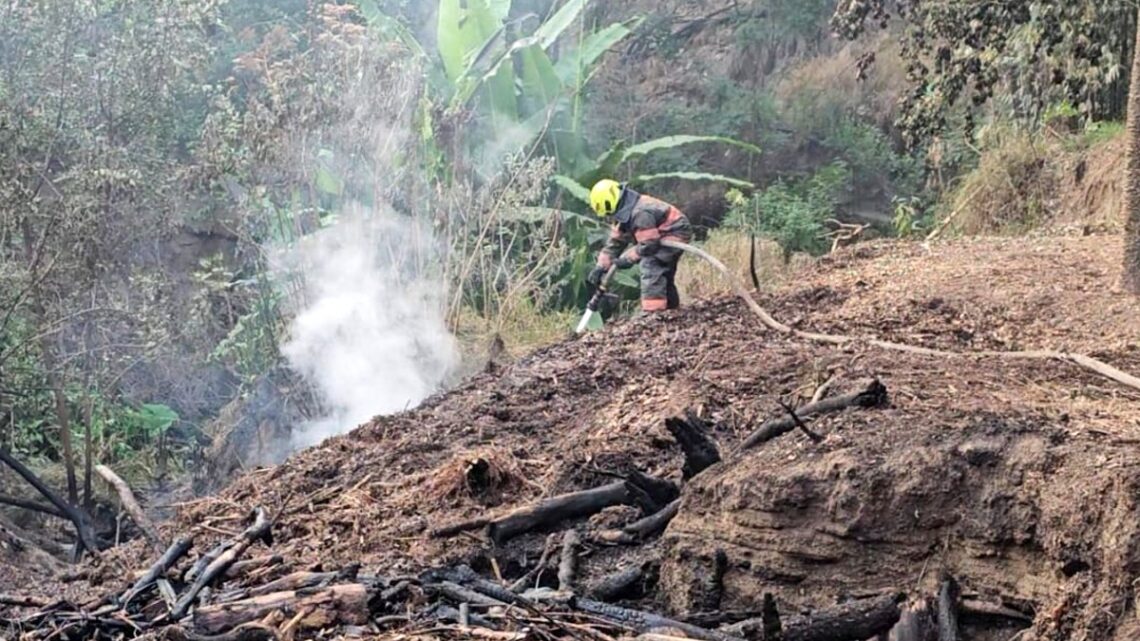 Un incendio en el parque Eca Do Queiros de Zapopan ha alarmado a la comunidad, que clama por más seguridad.