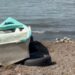 Un hallazgo en el Lago de Chapala sorprende a pescadores y autoridades mientras se investiga la causa de muerte.