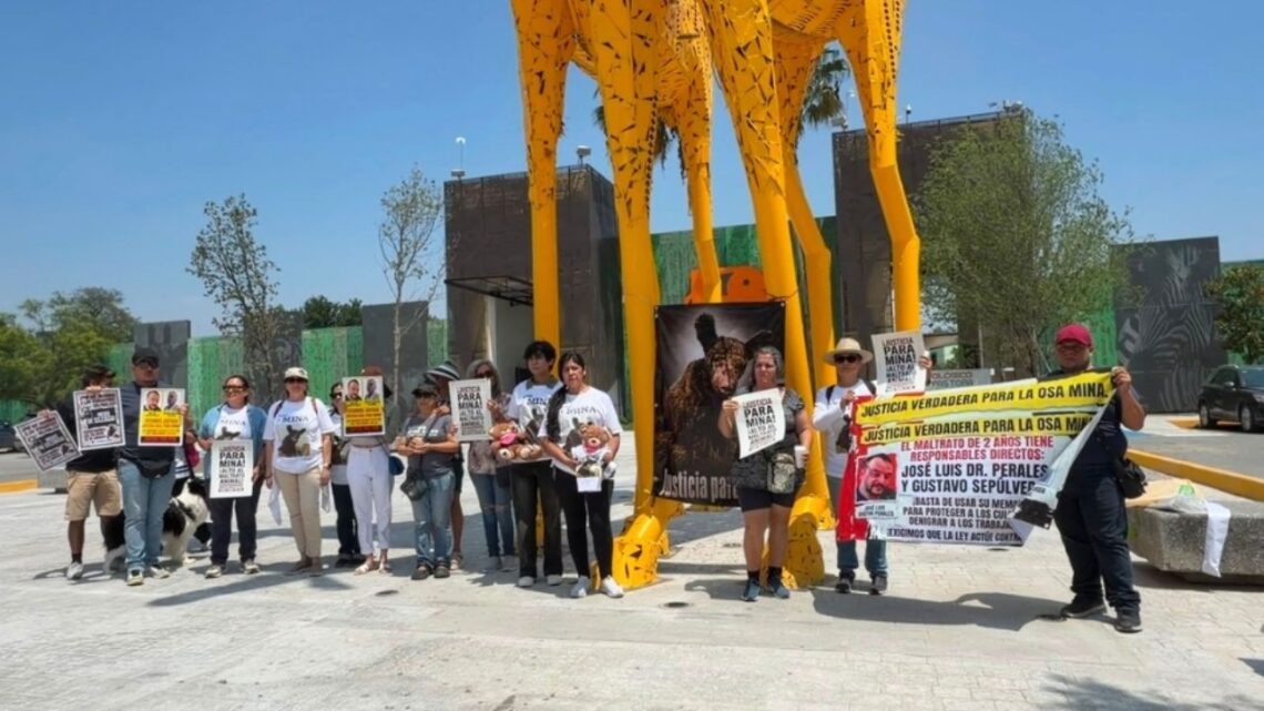 Protestas por parte de activistas buscan aclarar la muerte de la osa Mina en el Zoológico La Pastora.