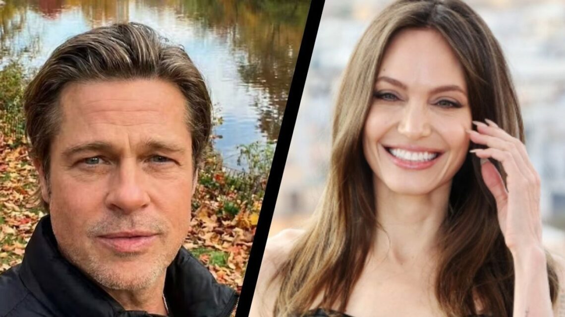 Brad Pitt logra una victoria en su batalla legal con Angelina Jolie, relacionada con la venta de acciones.