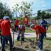 Monterrey contribuye al medio ambiente con la plantación de árboles nativos y adopción de más de 200 árboles.