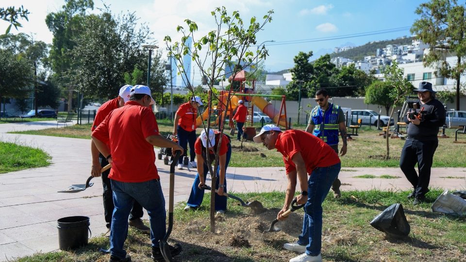 Monterrey contribuye al medio ambiente con la plantación de árboles nativos y adopción de más de 200 árboles.