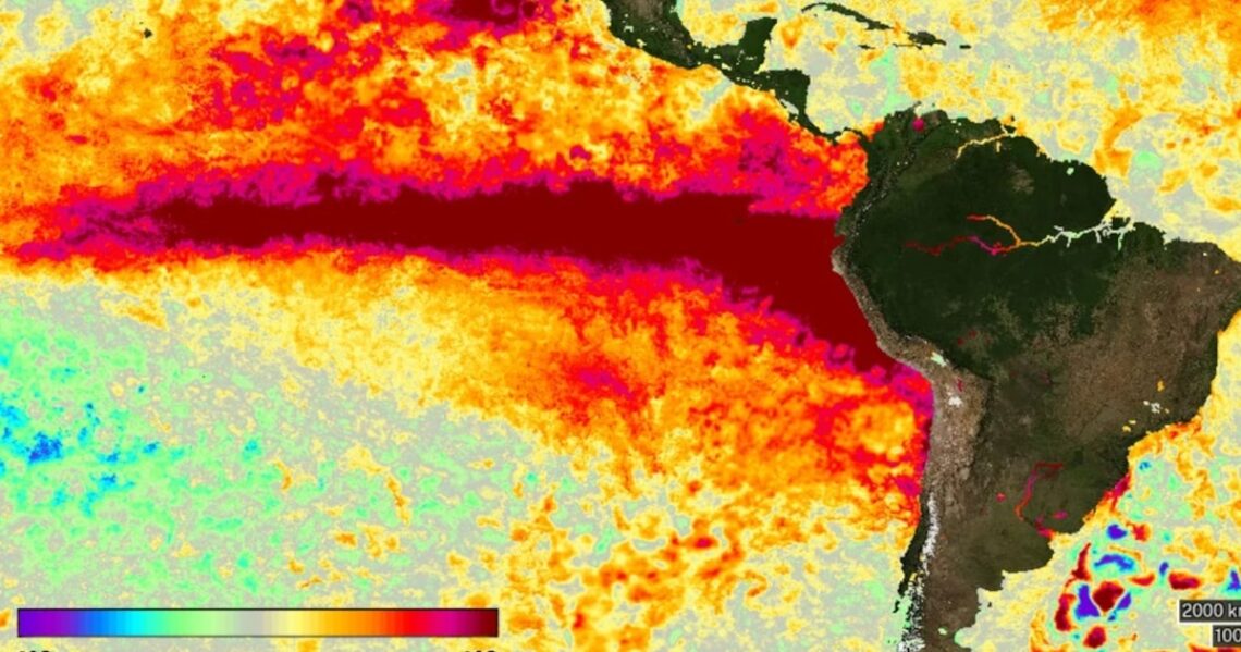 La ONU advierte sobre la creciente fuerza del fenómeno de El Niño, que afectará al planeta hasta febrero.