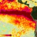 La ONU advierte sobre la creciente fuerza del fenómeno de El Niño, que afectará al planeta hasta febrero.