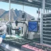 Nuevo León se destaca en la tecnología, siendo clave en la producción de semiconductores y equipos esenciales.